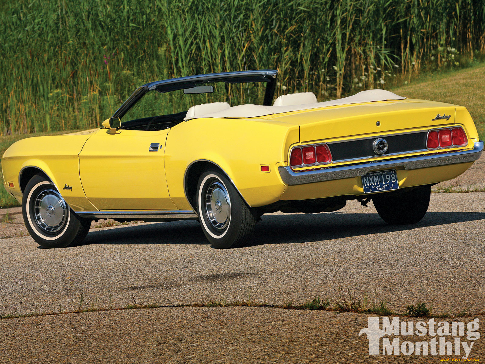 , mustang